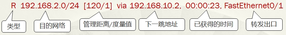 点击看图 路由表项